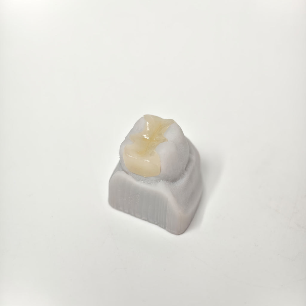 Full-Zirconia Laying