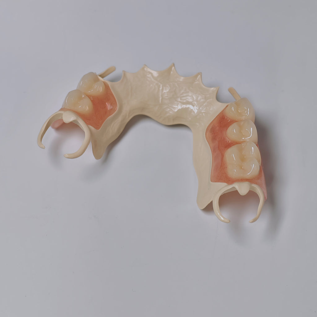 PEEK Framework Denture Metal Framework With Acrylic Denture