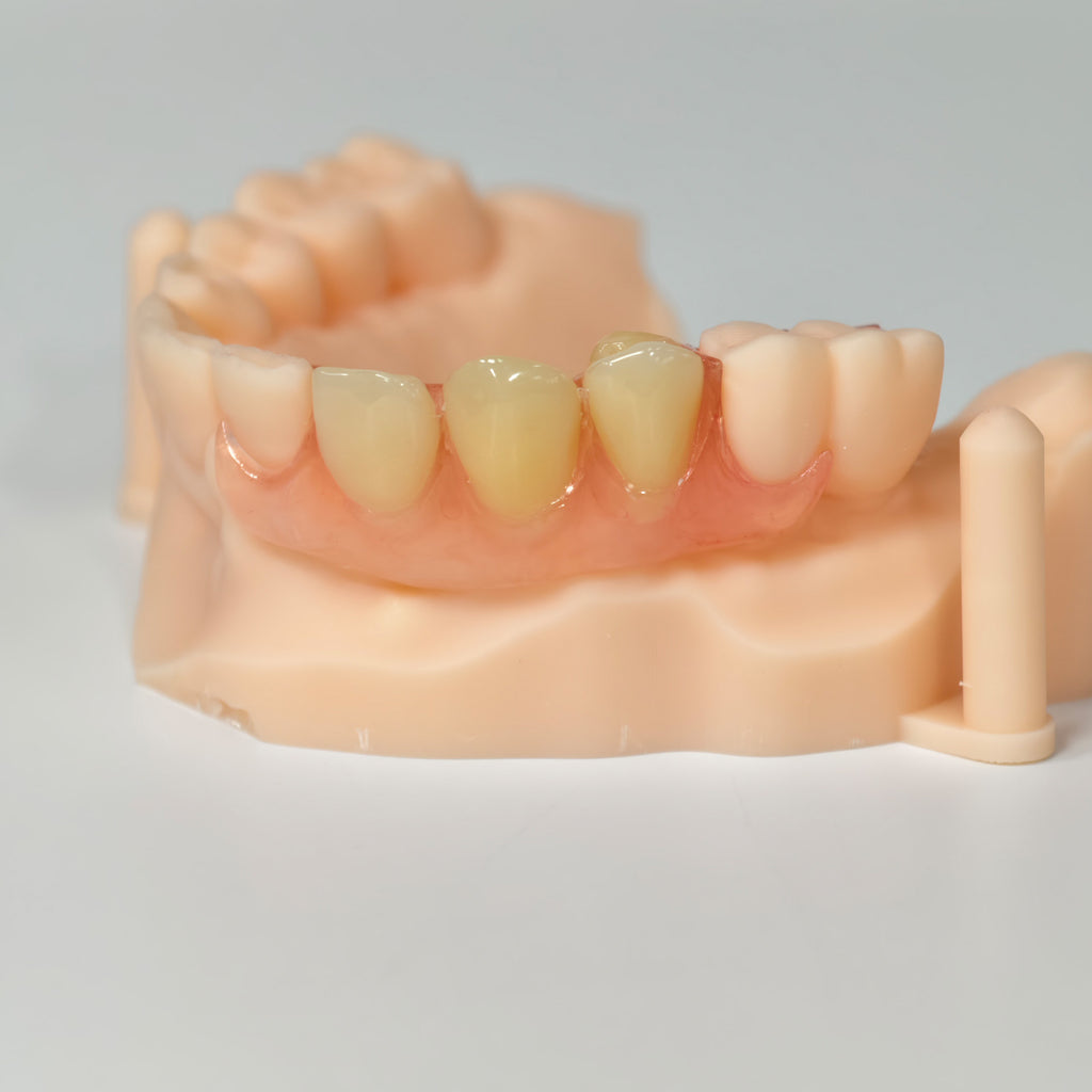 Valplast Denture Beautiful And Elastic Flexible Partial Natural Appearance