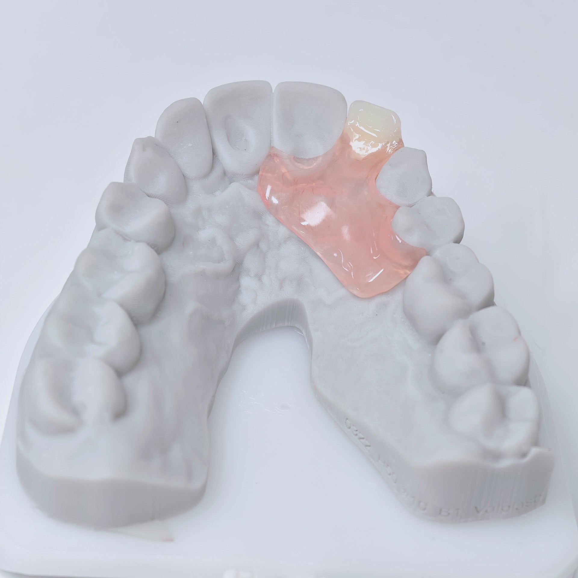 Valplast Denture Beautiful And Elastic Flexible Partial Natural Appearance