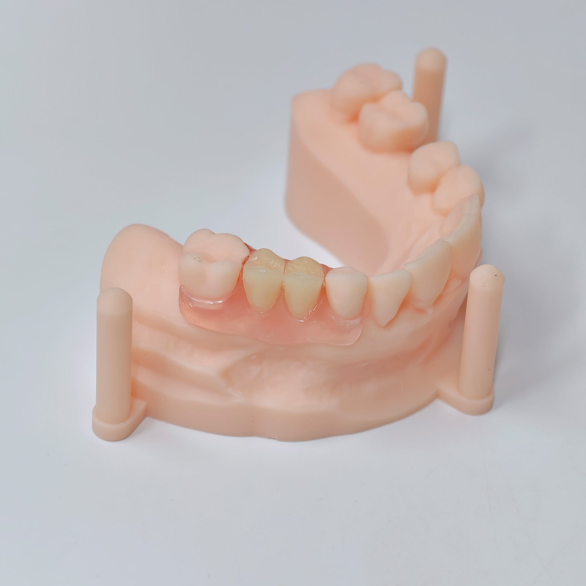 Valplast Denture Beautiful And Elastic Flexible Partial Natural Appearance