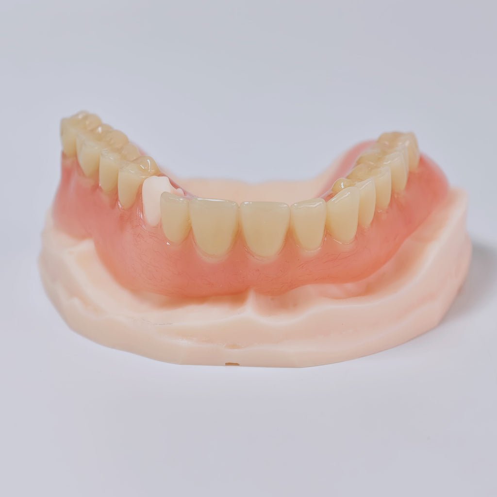 Acrylic Denture Resin Teeth Affordable Full Acrylic Denture