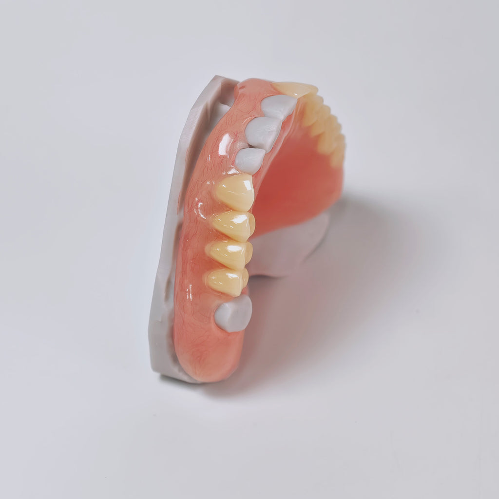 Acrylic Denture Resin Teeth Affordable Full Acrylic Denture