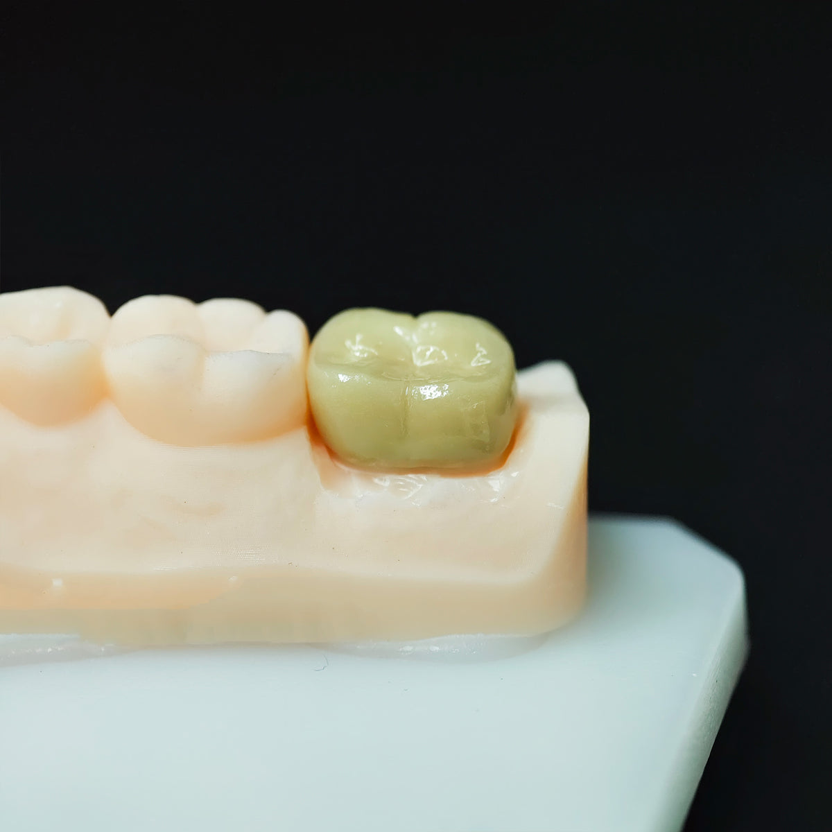 Co - Cr Pfm Dental Crowns And Bridge