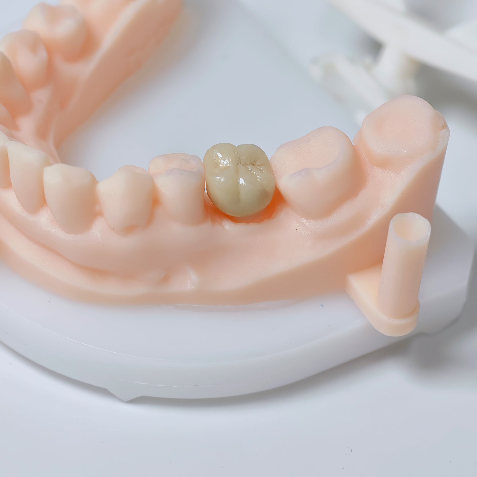 Co - Cr Pfm Dental Crowns And Bridge