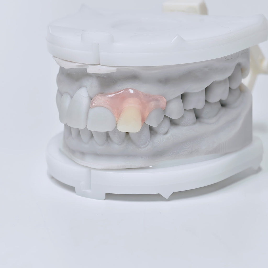 Valplast Denture Beautiful And Elastic Flexible Partial Natural Appearance