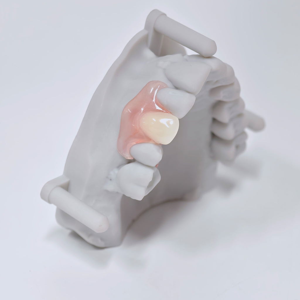 Valplast Denture Beautiful And Elastic Flexible Partial Natural Appearance