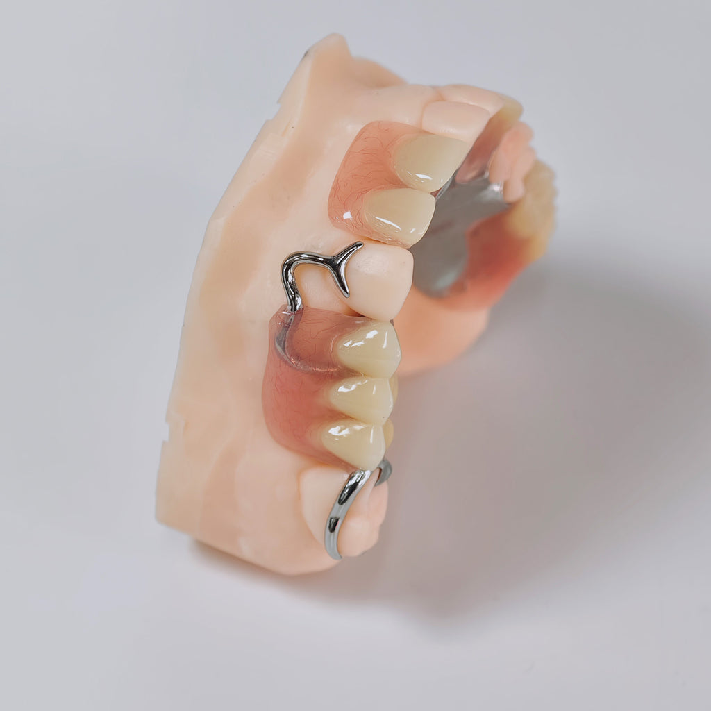 Cobalt Chrome Framework Denture Metal Framework With Acrylic Denture