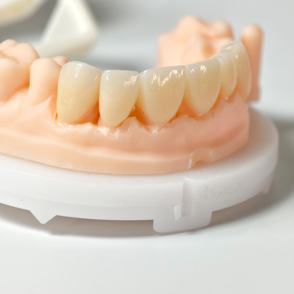 High - Strength Zirconia Crown