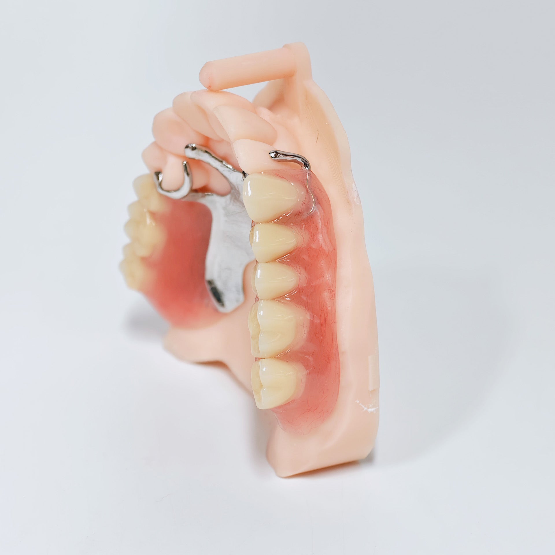 Cobalt Chrome Framework Denture Metal Framework With Acrylic Denture