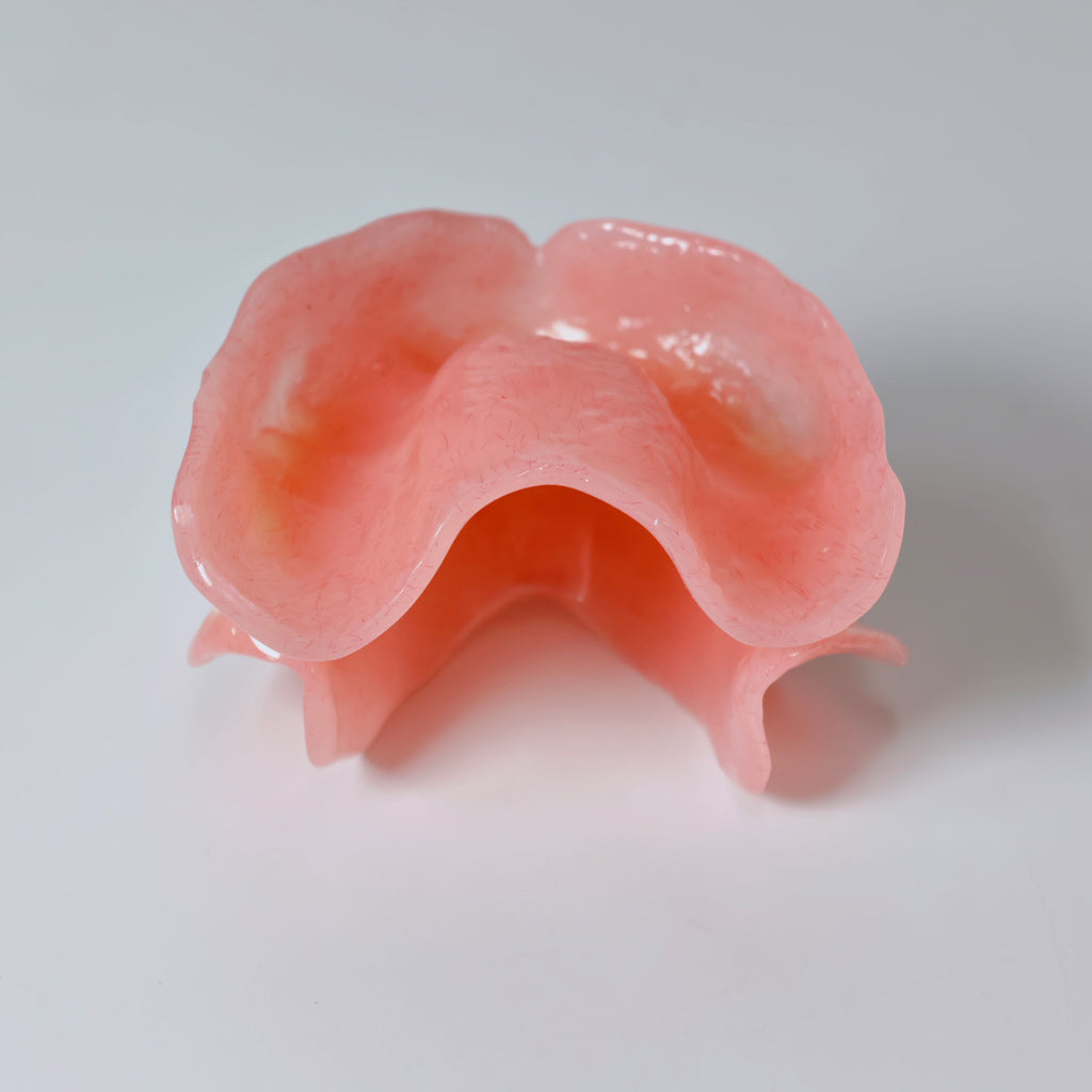 Full-Mouth Acrylic Denture