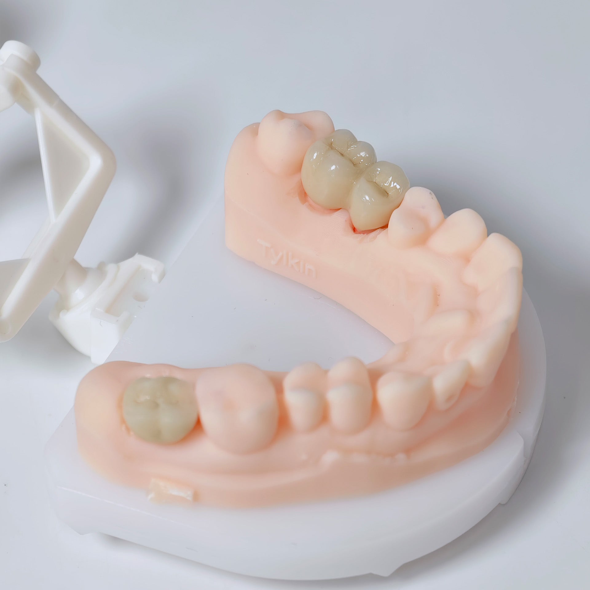 Co - Cr Pfm Dental Crowns And Bridge