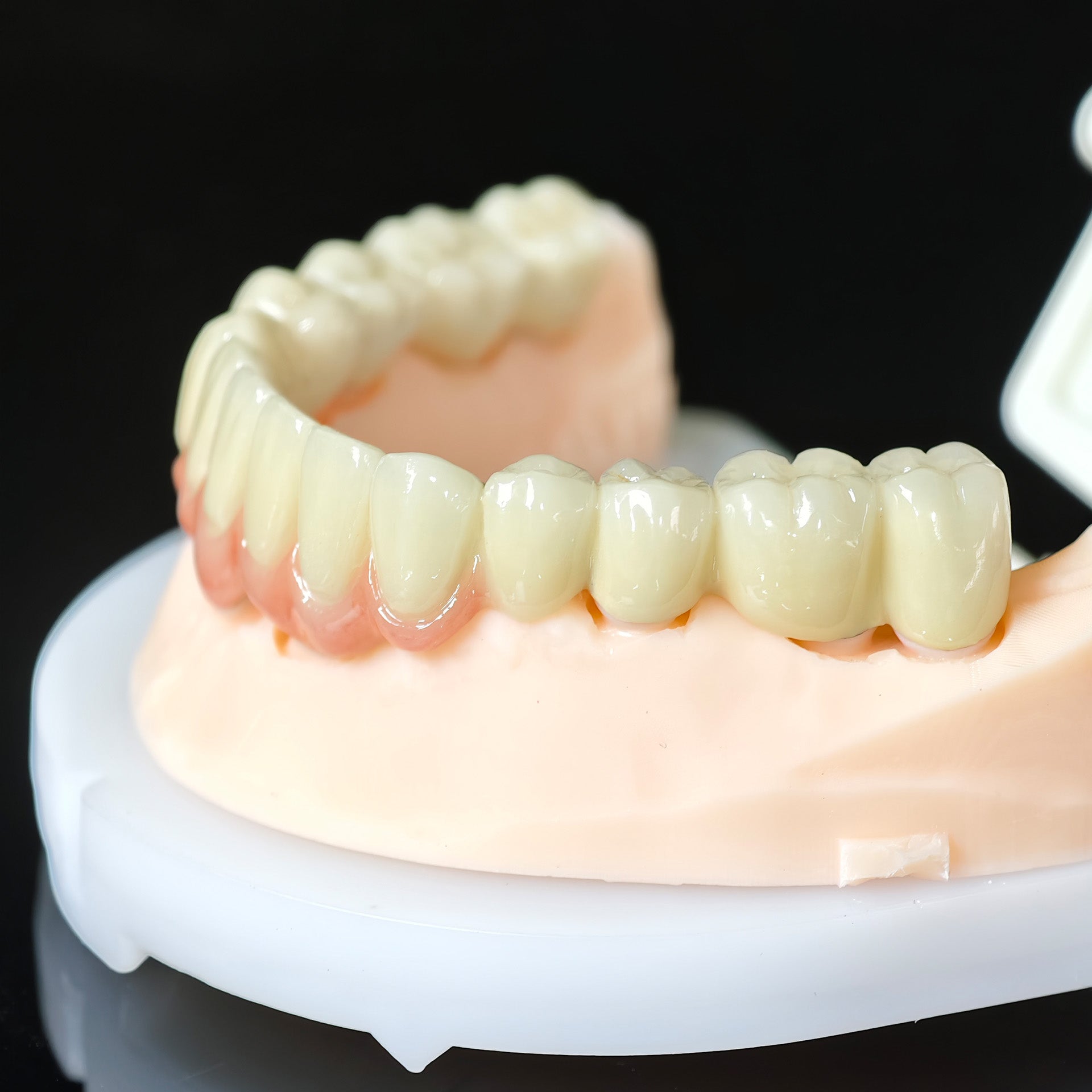 Co - Cr PFM Dental Bridge
