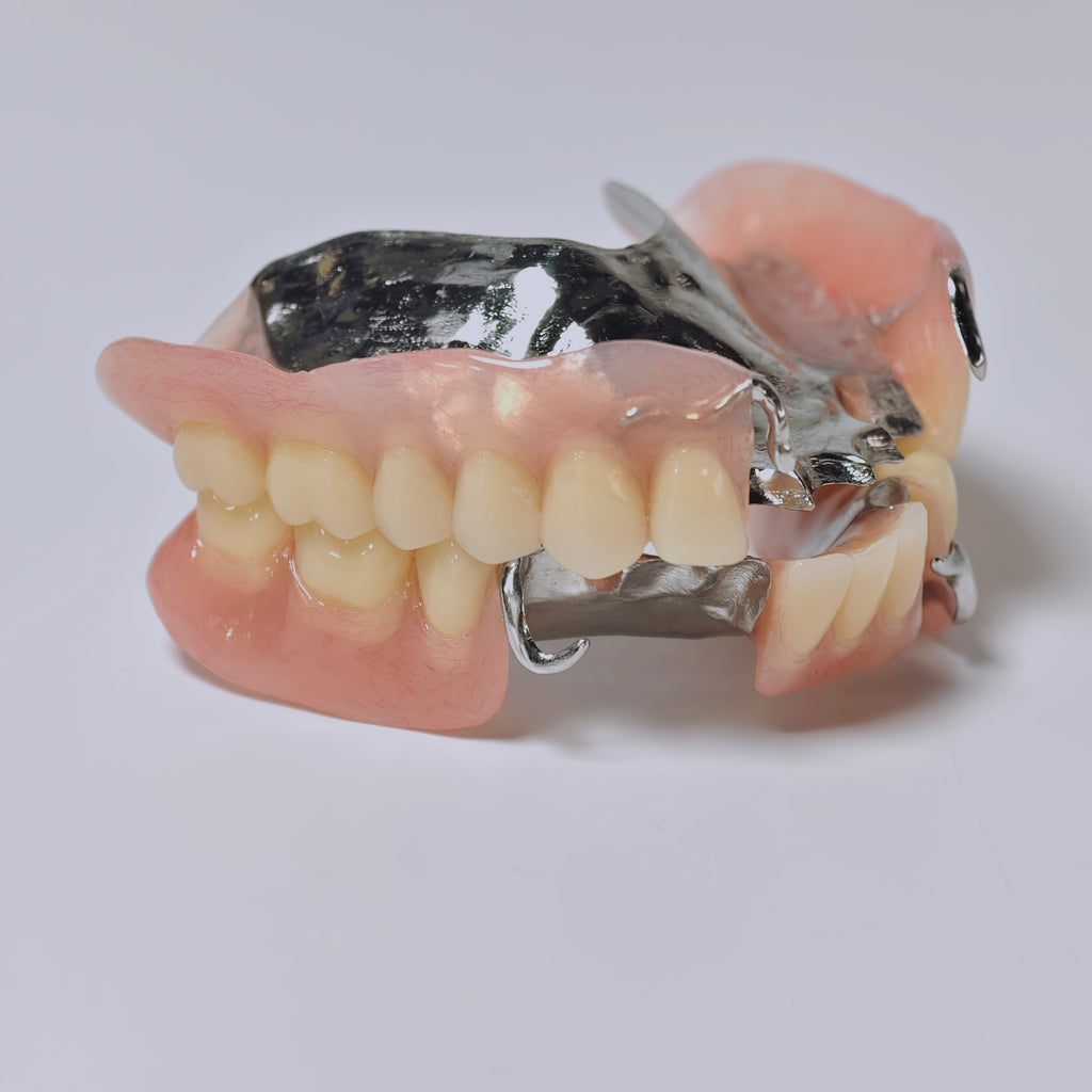 Cobalt Chrome Framework Denture Metal Framework With Acrylic Denture