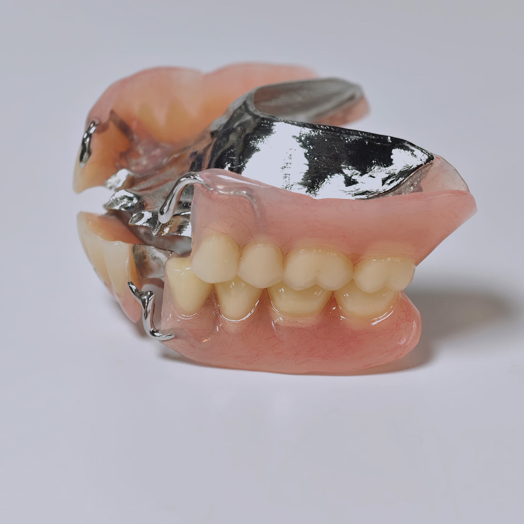 Cobalt Chrome Framework Denture Metal Framework With Acrylic Denture